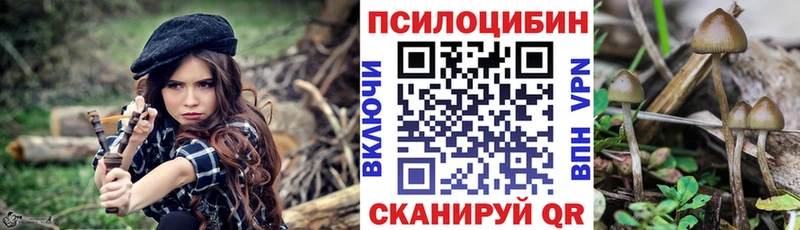 Галлюциногенные грибы ЛСД  Сальск 